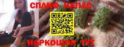 сатива Новодвинск