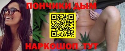 сатива Новодвинск