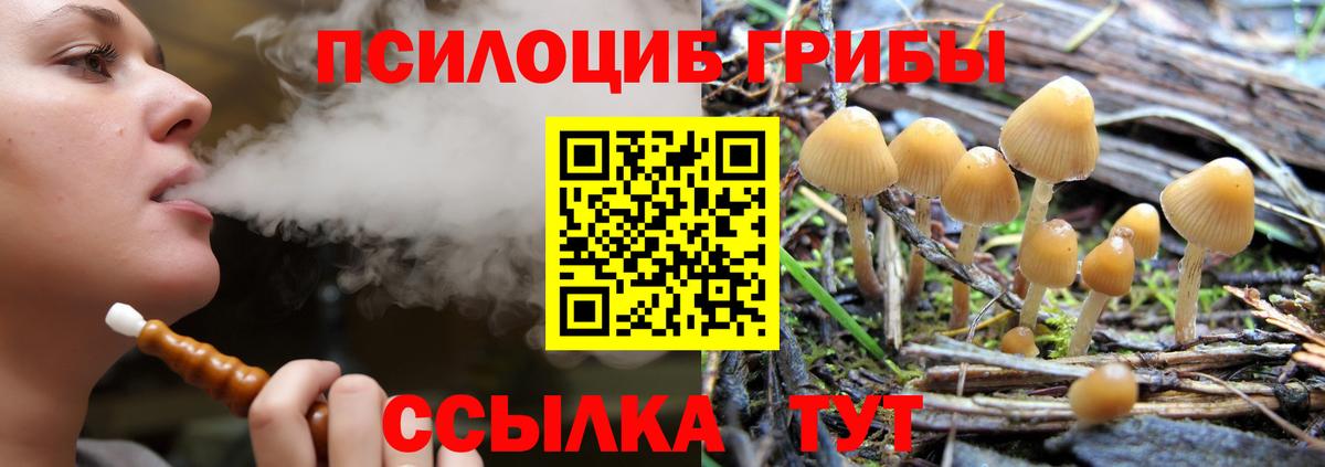 Галлюциногенные грибы прущие грибы Холмск